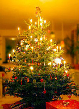 ラトビアのクリスマスツリー